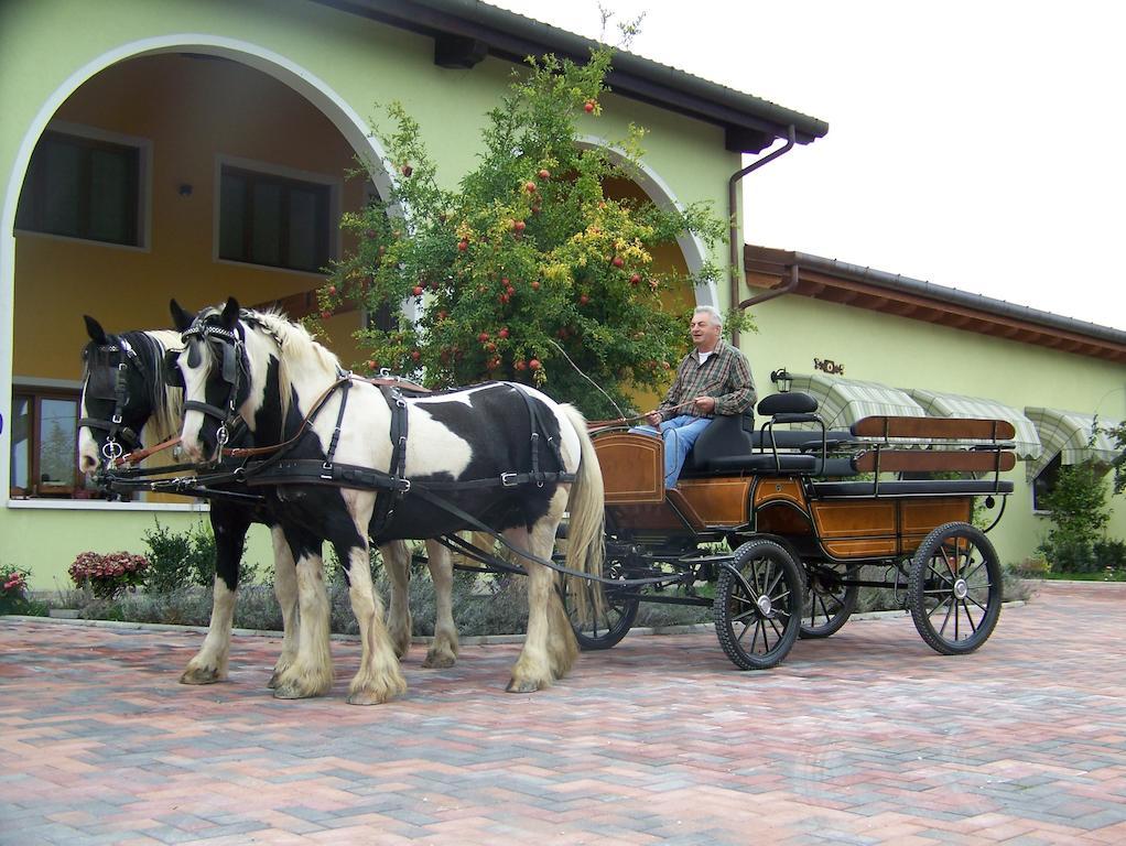 Agriturismo Nonna Rina San Liberale Dış mekan fotoğraf