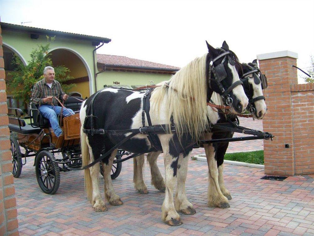Agriturismo Nonna Rina San Liberale Dış mekan fotoğraf