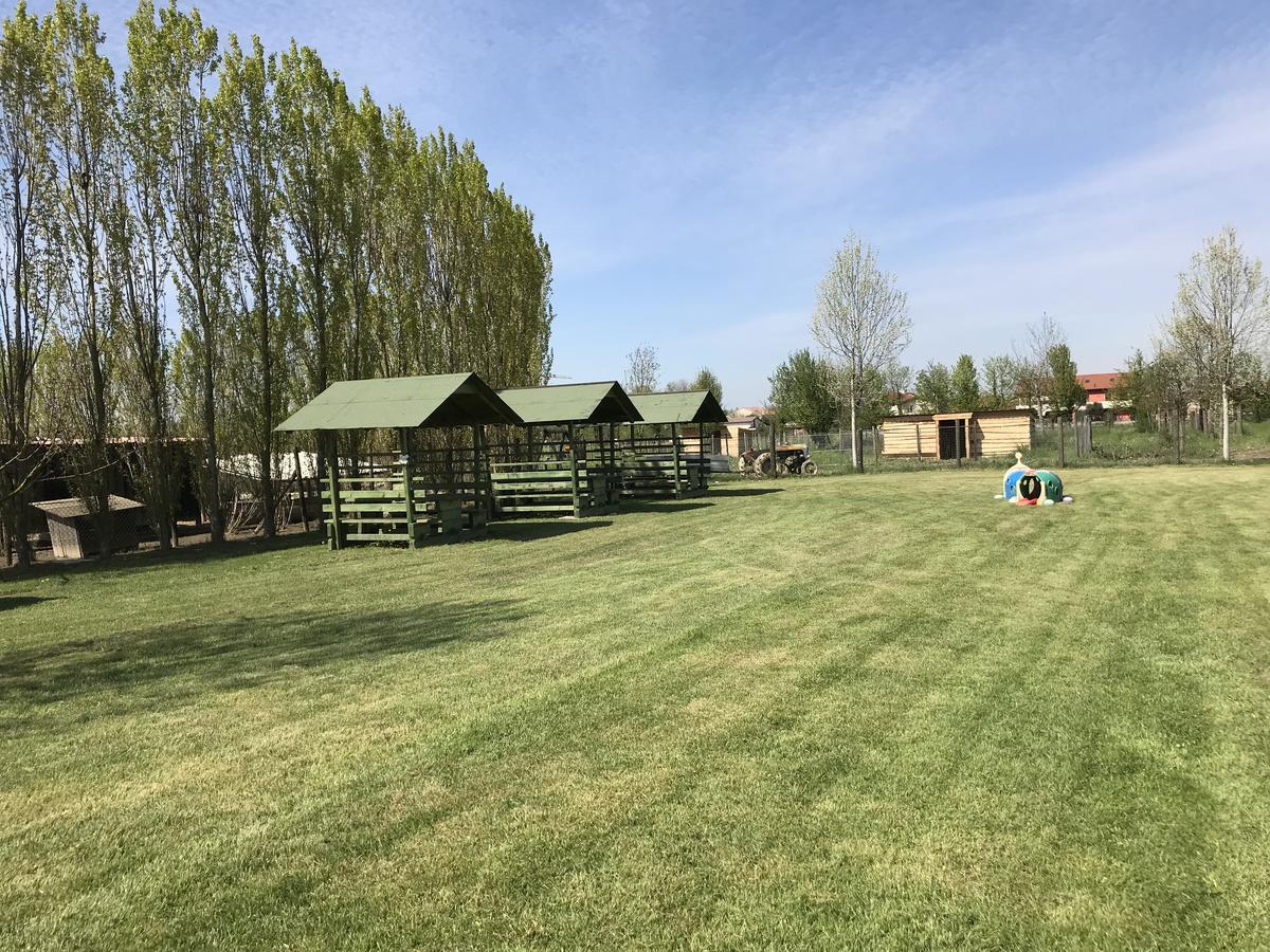 Agriturismo Nonna Rina San Liberale Dış mekan fotoğraf