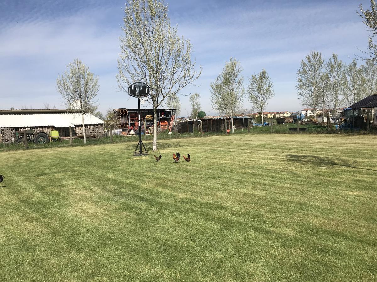 Agriturismo Nonna Rina San Liberale Dış mekan fotoğraf
