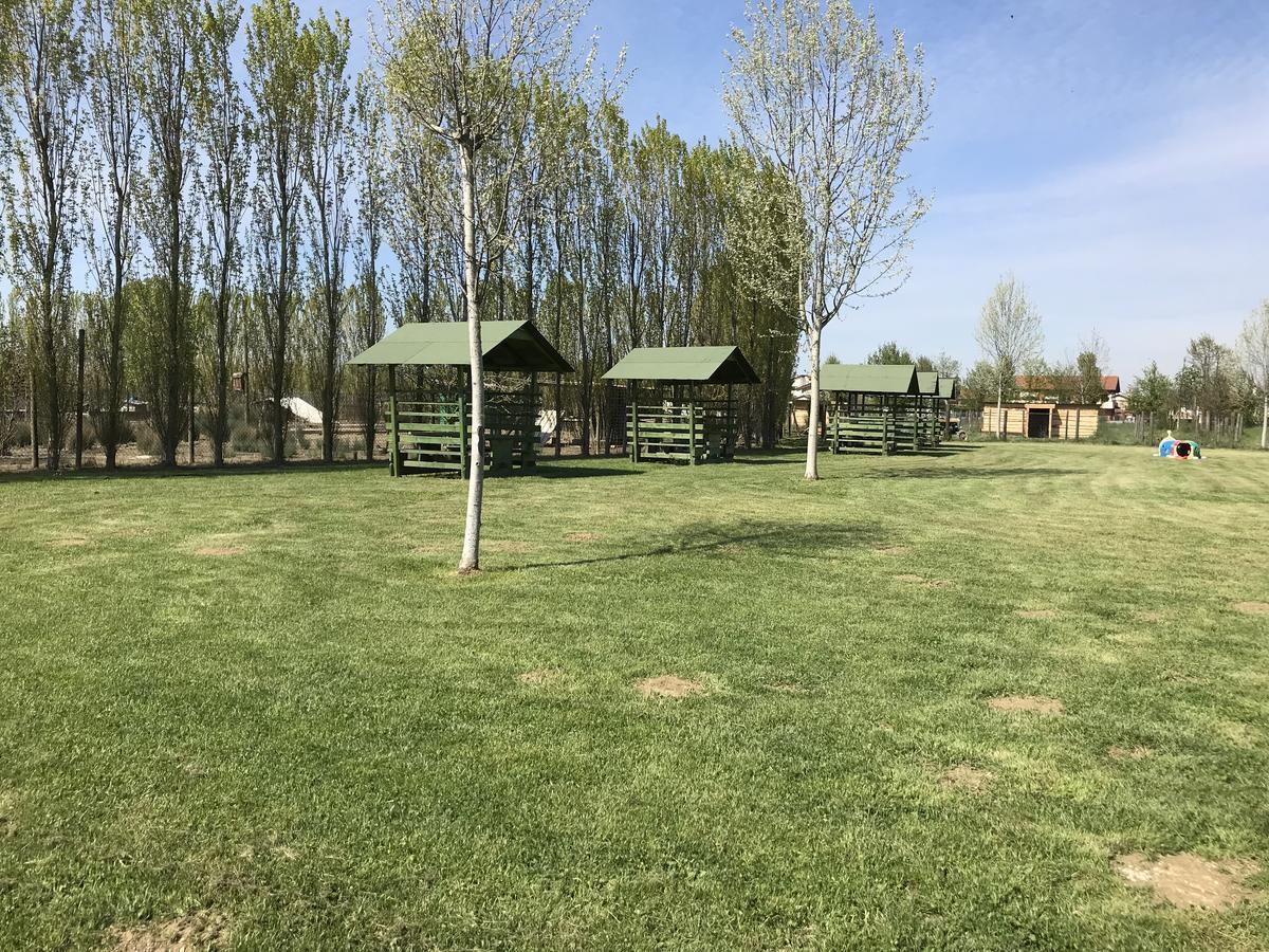 Agriturismo Nonna Rina San Liberale Dış mekan fotoğraf