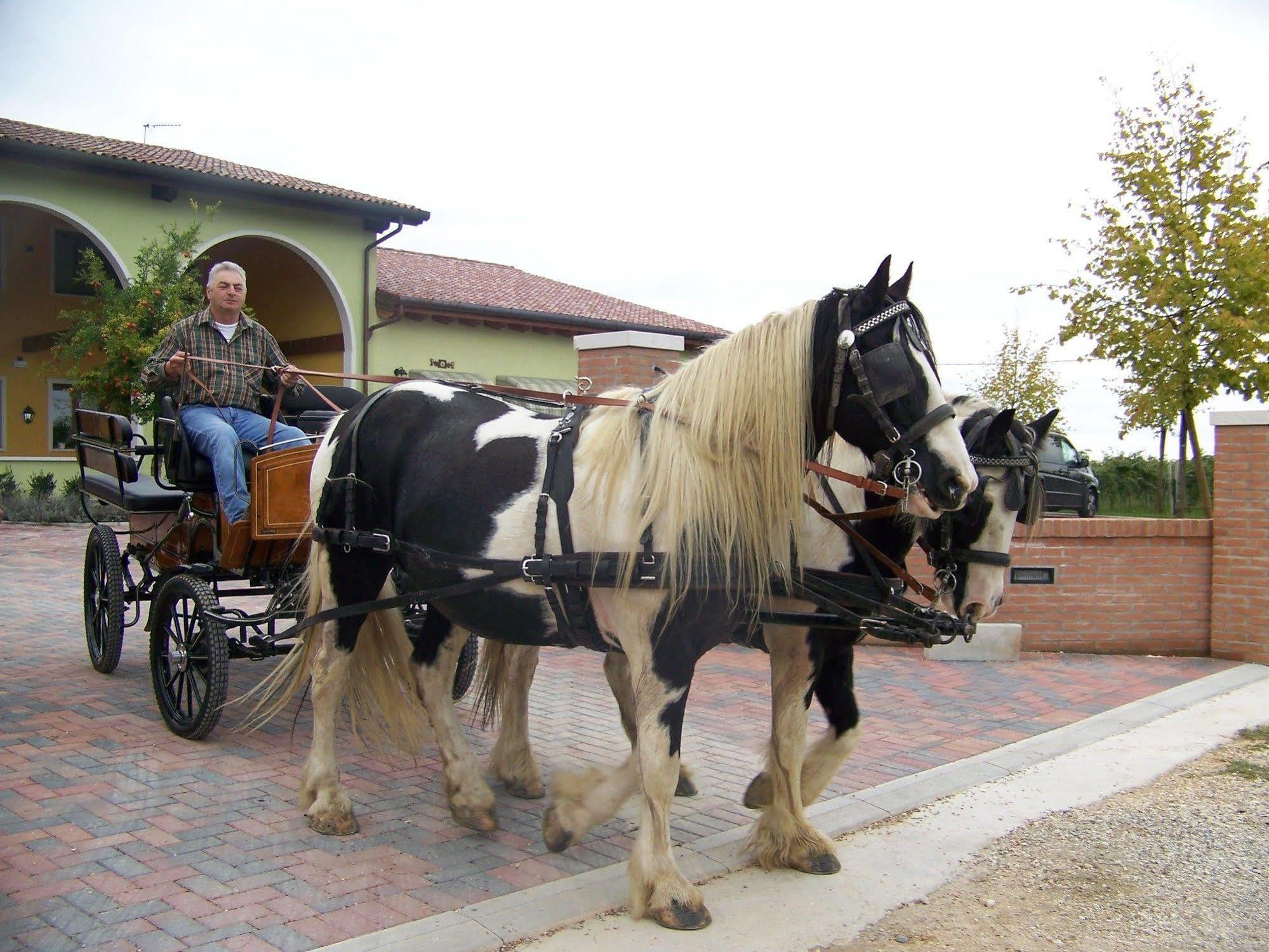 Agriturismo Nonna Rina San Liberale Dış mekan fotoğraf